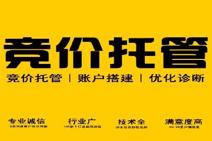 深度解析：百度竞价代理的优化策略与成功案例